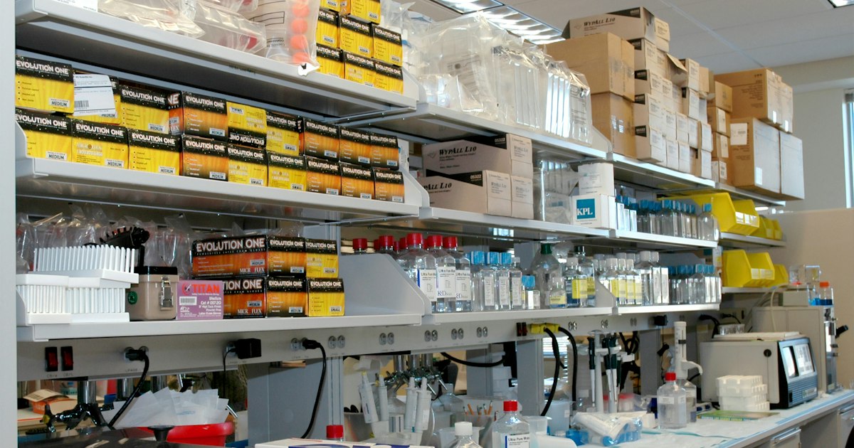 TPO Antibodies Above or Below Normal: Causes in Athletes and What to Do